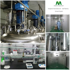 משלוח מהיר מדגם אבקת דלעת מחיר - Product Image 4