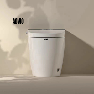 대용량 스마트 화장실 여성용 섹시 변기 시트 제조업체 저렴한 가격 화장실 물 펌프 - Product Image 5
