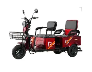 YY 3 Wheels Motor E-trike Y3-ZD Electric Tricycle 600W 800W 1000w Adult Electric Trick Electric Cargo Bike Trike Wholesale Price