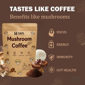 Café de Hongos en Polvo para Adultos, Marca Privada ODM/OEM, Bueno para la Concentración, la Memoria, la Inmunidad y la Energía - Product Image 4