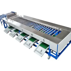 Automatic Fruit And Vegetable Sorter Potato Carrot Onion Sorting Apple Size Grading Machine For Sale