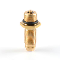 Newest Professional Gas Cylinder Accessories High Pressure Brass Disposable Instrument Valve Gas Pressure Regulator