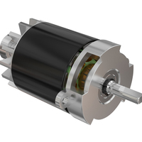 Motor CC sin Escobillas Personalizado de Fábrica FEDI TECH HT-3625, 10.8V 156W, Montaje con Brida, Alta Velocidad, Bajo Ruido, para Herramientas Eléctricas de Jardín