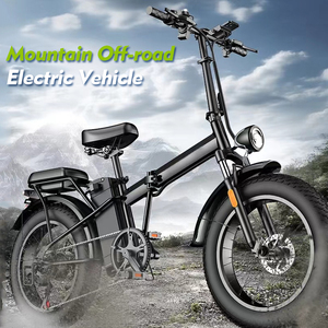 ODM & OEM Điện Xe Tay Ga Mạnh Mẽ Tàng hình Máy Bay Ném Bom Điện Thành Phố Xe Đạp Phụ Nữ Phong Cách Ebike Cho Người Lớn Điện Xe Đạp Chuyển Đổi Kit - Product Image 3