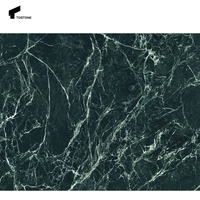 Tostone Table basse carrée atmosphérique exquise en marbre vert Verde Alpi naturel pour décoration intérieure et extérieure