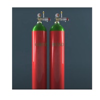 Bouteille de gaz en acier de 140 L 300 bar pour gaz inerte CO2 Extincteur Système de suppression d'incendie