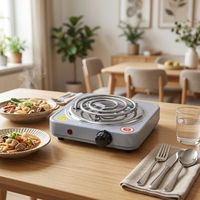 Plaque chauffante électrique portable en acier inoxydable 1000W à brûleur unique avec contrôle de température multifonction et nettoyage facile pour