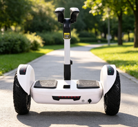 Düşük Fiyat Garantili Kaliteli Kendinden Dengeleyici Scooter Hoverboard Smart 10 Almacen Meksika 10 İnç İki Tekerlekli Hoverboard 18 km
