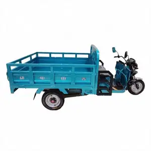 Reliable Quality Green Electric Shock Price Jinxin Tricycle Coffee For Sale