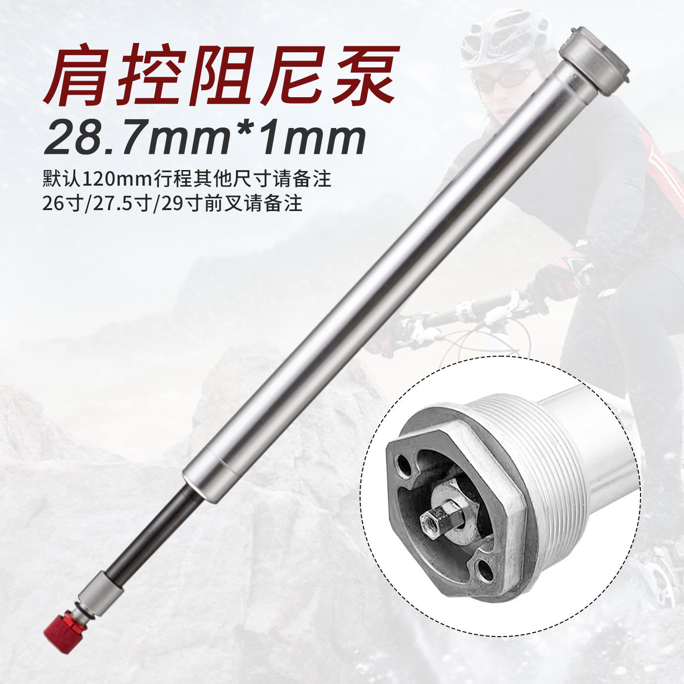 Shoulder control damping pump 28.7*1mm