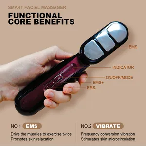 EMS 3 In 1 Massage Comb Red Blue Light Therapy Beauty Equipment Rechargeable EMS Face Massager Machine Electric Massage Comb