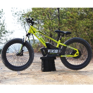 Bicicleta de equilibrio para niños personalizada de fábrica FXB 12 16 <span class=keywords><strong>20</strong></span> pulgadas bicicleta eléctrica con cuadro de aluminio para niños de 3 a 15 años - Product Image 3