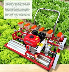 Semoir à oignons, machine à <span class=keywords><strong>semer</strong></span> les légumes, semoir à persil, fabriqué en Chine - Product Image 2