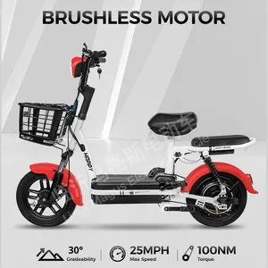 Bicicletta Elettrica per Adulti Little Prince 48V Esclusiva per il Commercio Transfrontaliero, Telaio in Acciaio ad Alto Tenore di Carbonio, Batteria al Piombo-Acido, per Pendolarismo Quotidiano - Product Image 4