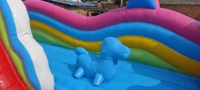 Structure gonflable commerciale à thème animaux avec toboggan, en PVC, capacité maximale 500 kg, pour location en parcs et fêtes foraines