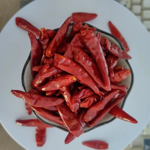 Peperoncini Secchi Piccanti di Media Intensità in Confezione Grande, Spedizione in Contenitore, Etichetta Privata, Peso Personalizzato, Materiale per Condimenti Alimentari - Product Image 1
