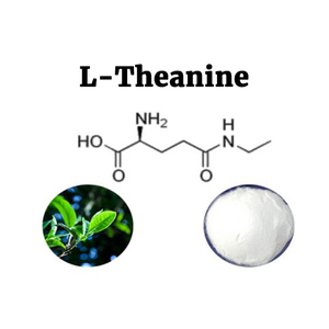 Extracto Herbal de Té Verde de Grado Alimenticio, 99% Teanina CAS 3081-61-6, L-Teanina en Polvo - Product Image 2