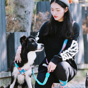 <span class=keywords><strong>Fashion</strong></span> Dog Harness Reflective Breakaway Feature Komfort Weich gepolstertes Nylon <span class=keywords><strong>Pet</strong></span> Arnes Blumen lichter Choke Free Step Dog Harness - Product Image 6