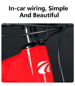 Bicicleta de Montaña Eléctrica de Fábrica de 250W 500W, 12 Velocidades, Batería de Litio de 160 km, Motor Central, Suspensión Trasera - Product Image 4