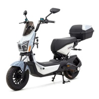 Nouvelle Moto Électrique 1000W à Pneus Larges et Épais, Conçue par une Usine Chinoise, Très Demandée, Exportée vers la Bolivie