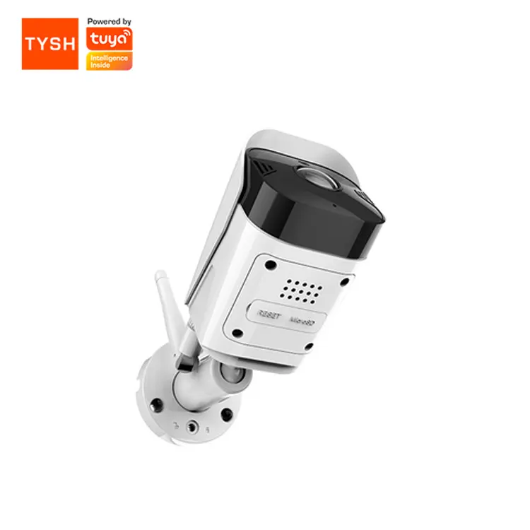 TYSH sıcak satış Tuya Homelife uzaktan kumanda gece görüş 1080P Wifi Ip Ptz akıllı kamera