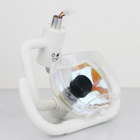Lampe halogène pour clinique dentaire et hôpital, accessoires en plastique, fauteuil dentaire, équipement d'éclairage pour inspection buccale et traitement dentaire