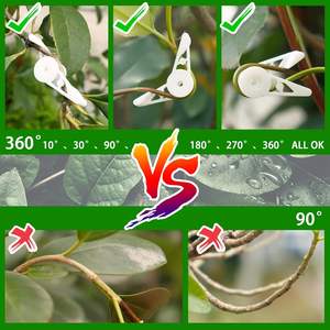 Pinces de pliage de plantes réglables, serre-tiges, écarteurs de branches d'arbres, pinces d'entraînement pour plantes - Product Image 5