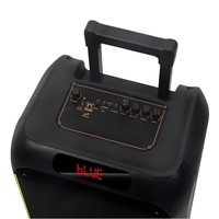 Enceinte Karaoké avec Micro et Bluetooth, Enceinte Trolley Double 12 Pouces avec Micro Sans Fil