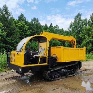 Compact 3 Ton Crawler Mounted <b>Crane</b> All Terrain Hydraulic Equipment - Product Image 4