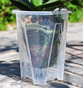 10 12 14 14 16 cm di plastica trasparente trasparente rotonda Phalaenopsis orchidee alito a fessura <span class=keywords><strong>vaso</strong></span> di orchidee da giardino - Product Image 5