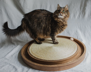 In legno rustico gatto giradischi Scratcher con palla interattiva giocattolo mobili per <span class=keywords><strong>gatti</strong></span> per animali domestici gioco del pavimento - Product Image 2