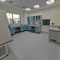 Meubles de laboratoire dentaire modernes, table en acier résistant aux acides et aux alcalis, plan de travail en résine phénolique, surface en époxy, certifiée CE, clinique