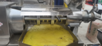 Presse à chaud et à froid commerciale en acier inoxydable d'huile de ricin de tournesol faisant la machine à vendre
