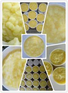 Gelée <span class=keywords><strong>Royale</strong></span> Biologique Fraîche BEESTAR – <span class=keywords><strong>Prix</strong></span> Usine – 10-HAD 2,0% – Complément Énergisant - Product Image 2