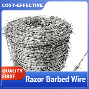 Fil barbelé plat galvanisé personnalisable, haute résistance à la traction, résistant aux intempéries, pour renforcement de clôture et toiture - Product Image 2