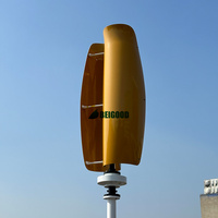Chine usine vente chaude 12V 24V 48V 1000w 2000w 3000w générateur de turbine à air tulipe éolienne