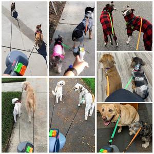 Correas Dobles para Mascotas con Linterna <span class=keywords><strong>LED</strong></span>, Correa para Pasear Perros, Cadena para Perros, Correa Retráctil Ajustable con <span class=keywords><strong>LED</strong></span> - Product Image 6