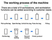 Machines d'emballage multifonctionnelles automatiques pour sachets préformés Doypack, avec pesage de granulés 250g, 500g, 1kg