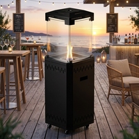 Cheminée à gaz autoportante pour patio extérieur, 4 côtés en verre, flamme réelle, chauffage décoratif sur roues pour jardin et usage commercial