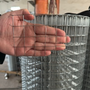 Sıcak Daldırma Galvanizli Demir Tel Kaynaklı Hasır 1/2 İnç 48 İnç X 100 Feet Sağlam Dayanıklı Gümüş Renkli Tel Örgü Tavuk Kafesleri - Product Image 5