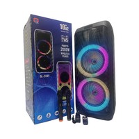 Haut-parleur LED RGB pour extérieur avec double haut-parleur de 10 pouces, boîtier en plastique, connectivité sans fil, USB, Aux, alimentation par batterie, sortie 50-100W