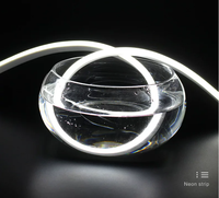 Ruban LED néon flexible en silicone SMD2835 6x12mm, dimmable, DC12V, IP65, double couche, 50m/rouleau, durée de vie 50 000 heures, pour éclairage néon