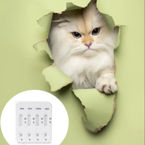 Kit de prueba rápida de antígenos Althea Feline Health Check 4 en 1 (FPV, FCV, FCOV, GIA) para diagnóstico veterinario en gatos - Product Image 1