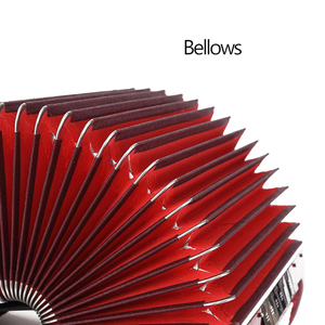 <span class=keywords><strong>Clavier</strong></span> avec 22 touches de <span class=keywords><strong>clavier</strong></span> à <span class=keywords><strong>8</strong></span> basses, Instruments musicaux, bouton, en diatonique, offre spéciale, collection 2020 - Product Image 4