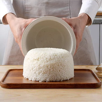 Cuiseur à riz compact multifonctionnel 8-en-1 avec pot intérieur en céramique de 2,5 L, poignée portable, minuterie différée de 24 heures, pour la vapeur, repas facile