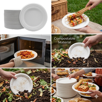 Assiettes jetables biodégradables en bagasse de canne à sucre de qualité alimentaire, robustes, 6/9 pouces, compostables, pour salades, collations, dîners et bonbons