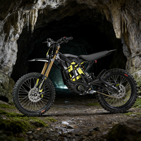 Moto électrique tout-terrain de course 10000W de puissance de pointe 2026 Light Bee pour jeunes