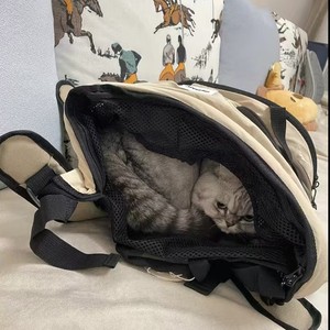 Sac à dos respirant pour chat, sac en toile orienté vers l'avant pour le transport des animaux de compagnie - Product Image 5