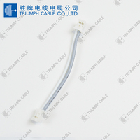 Berkualitas Tinggi Kawat Listrik 2 Pin Konektor Harness Cable Assembly untuk Otomotif Mobil Kabel