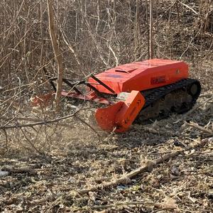 Máquina Desbrozadora de Uso Pesado para Eliminación de Palmeras y Trituradora de Tractor para Plantaciones y Obras de Construcción - Product Image 1